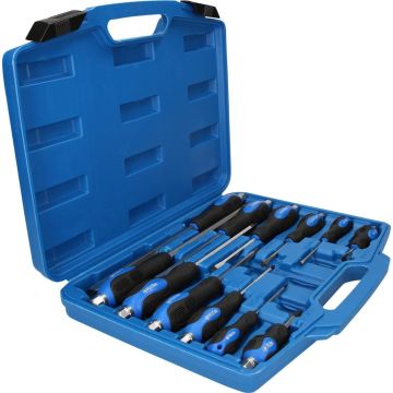 Serie di cacciaviti professionali 12 pz