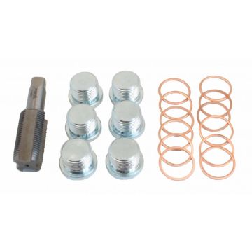 Set Riparazione Tappi Coppe Olio mm.20 ASTA