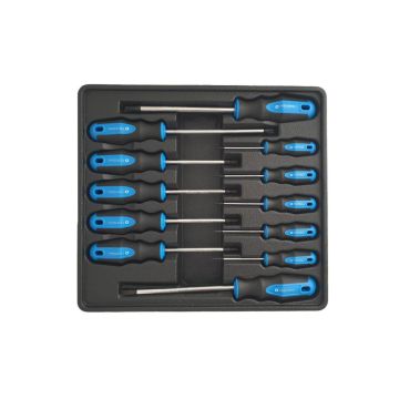 Serie cacciaviti Torx 12 pz PROFESSIONALI
